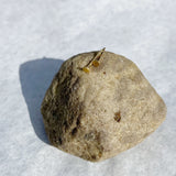 Pernille Corydon Micro Coin Earsticks Earrings Gold Nederland NL Utrecht