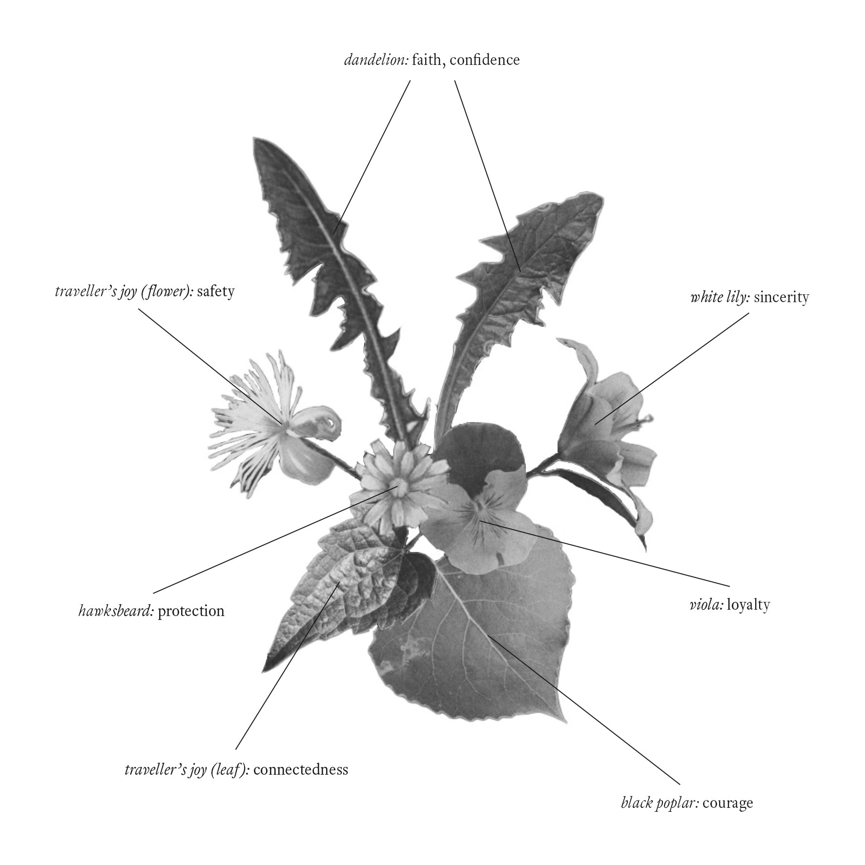 A TOTEM OF Amulet floriography The Netherlands