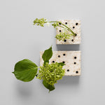 Atuto Bloomist Ceramic Frog Block White Patina