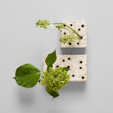 Atuto Bloomist Ceramic Frog Block White Patina