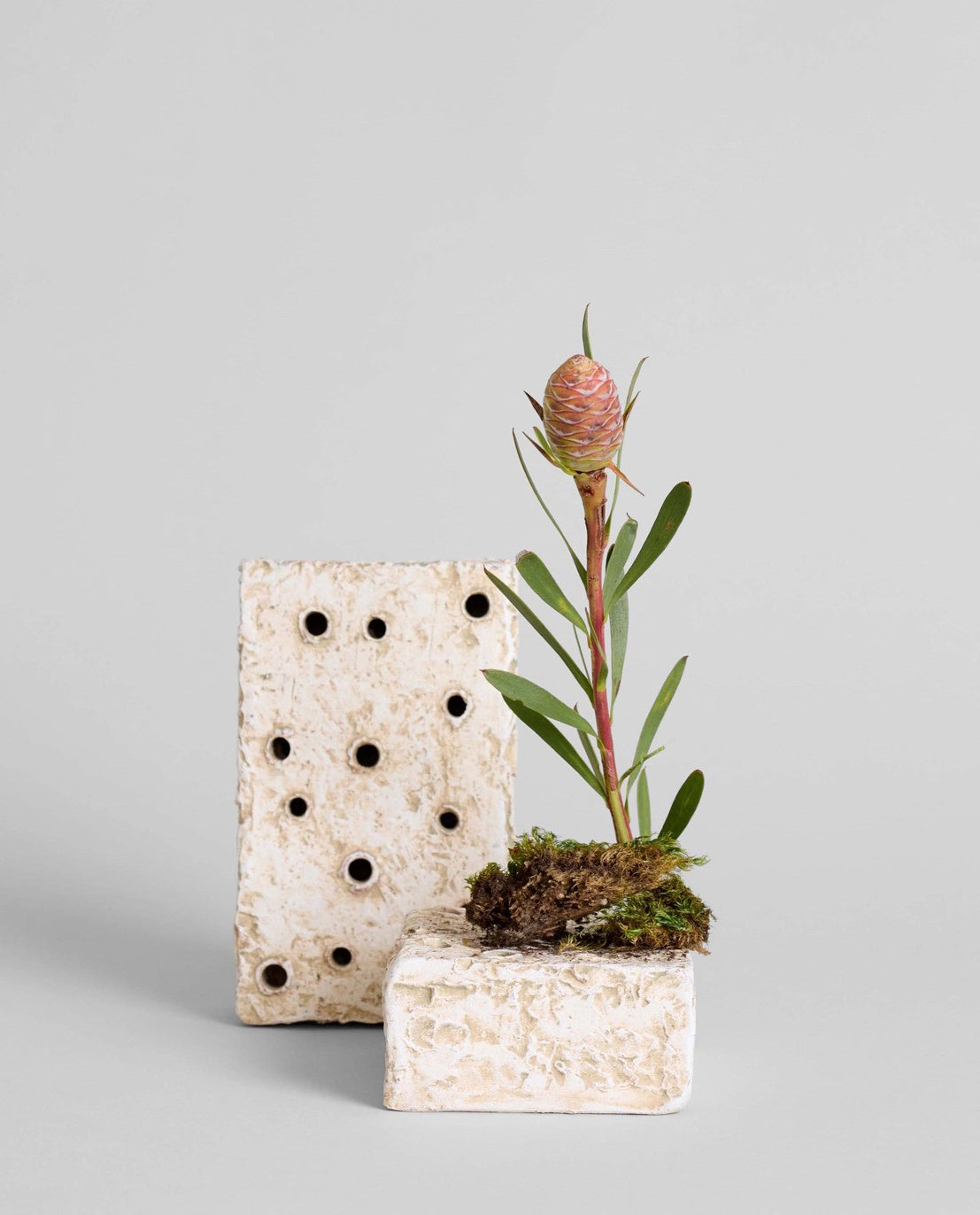 Atuto Ceramic Frog Block Rectangle Square White Patina