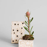 Atuto Ceramic Frog Block Rectangle Square White Patina