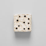 Atuto Ceramic Frog Block Square White Patina