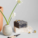 Atuto Niwaki Ceramic Frog Block Mini Kenzan Set