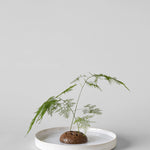 Atuto Round Stone Flower Frog Bloomist