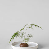 Atuto Round Stone Flower Frog Bloomist