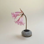 Beach Stone Ikebana Vase