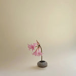 Beach Stone Ikebana Vase Rock