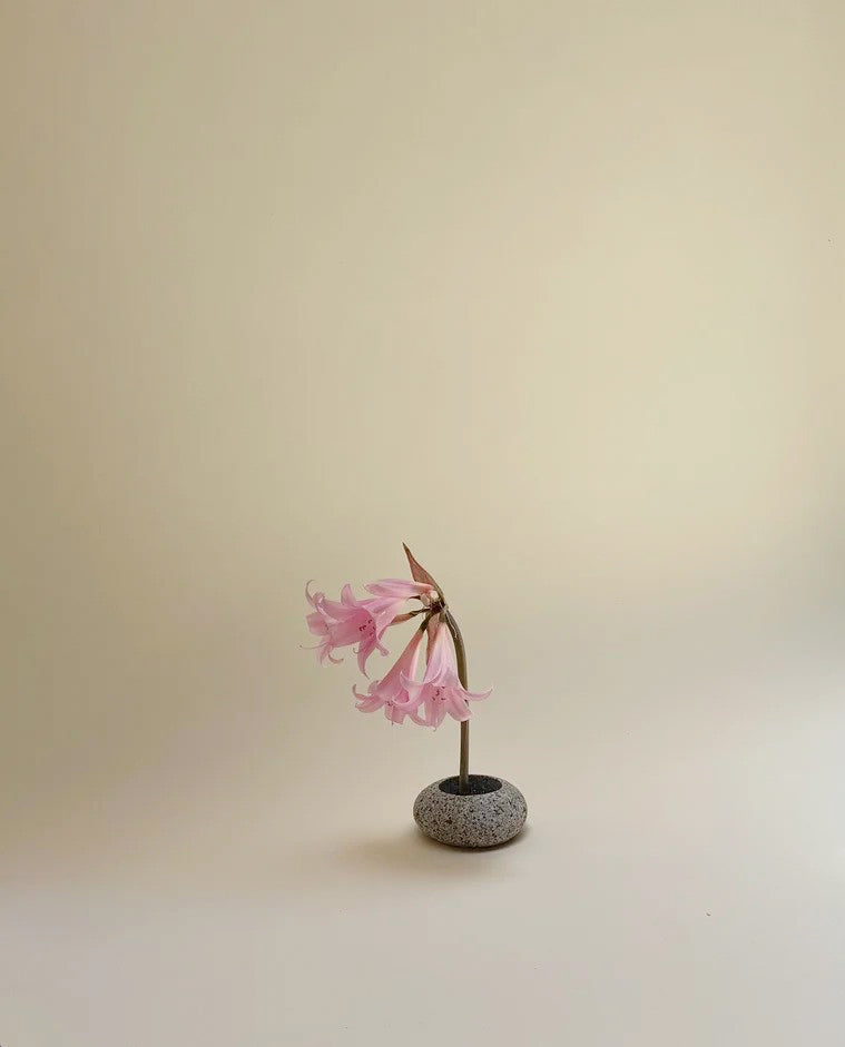 Beach Stone Ikebana Vase Rock