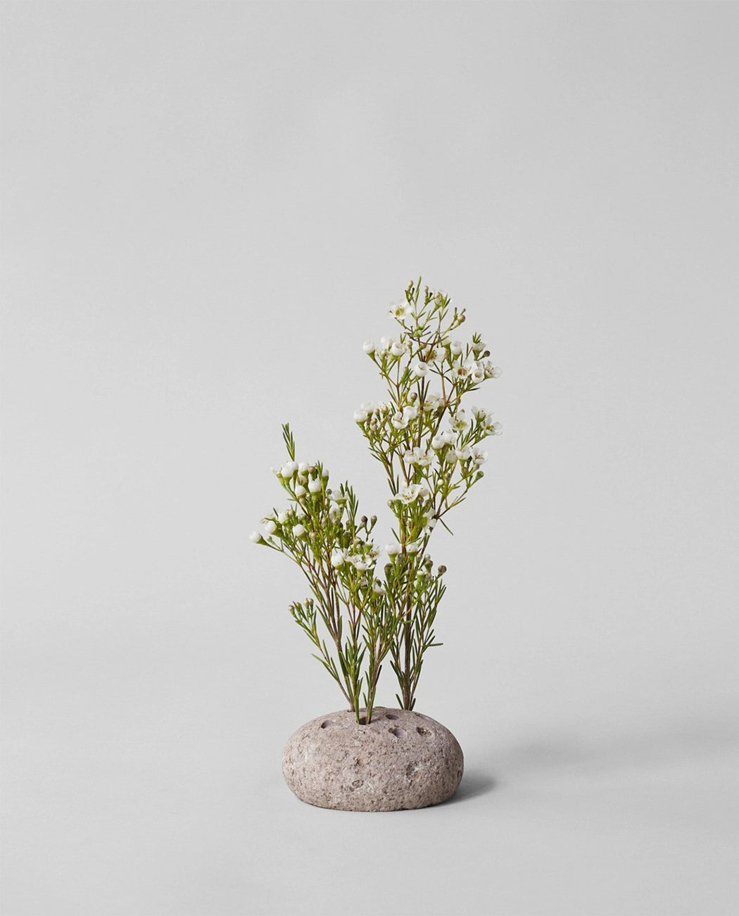 Bloomist Atuto Round Stone Frog Nederland