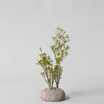Bloomist Atuto Round Stone Frog Nederland