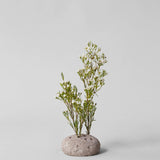 Bloomist Atuto Round Stone Frog Nederland